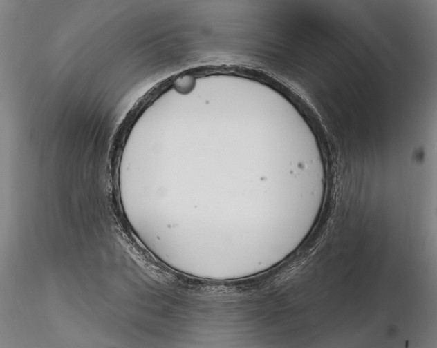 X0000116320927200912221356