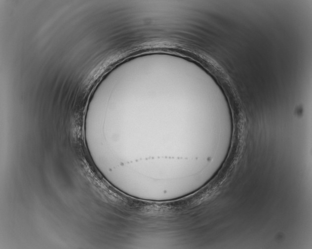 X0000116320929200912221356