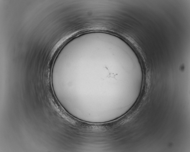 X0000116320933200912221356