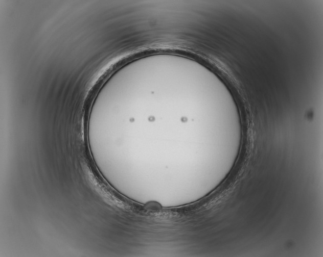 X0000116320934200912221356