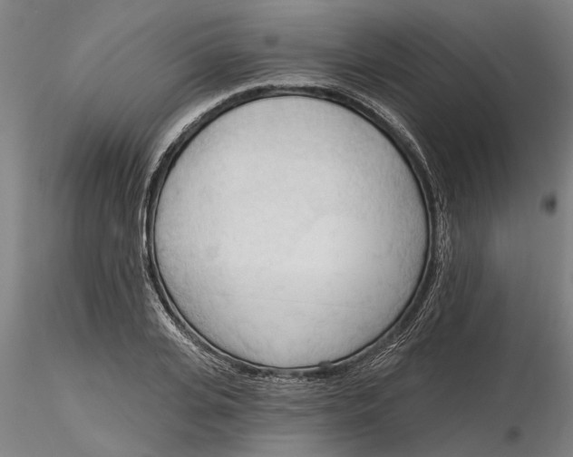 X0000116320935200912221356