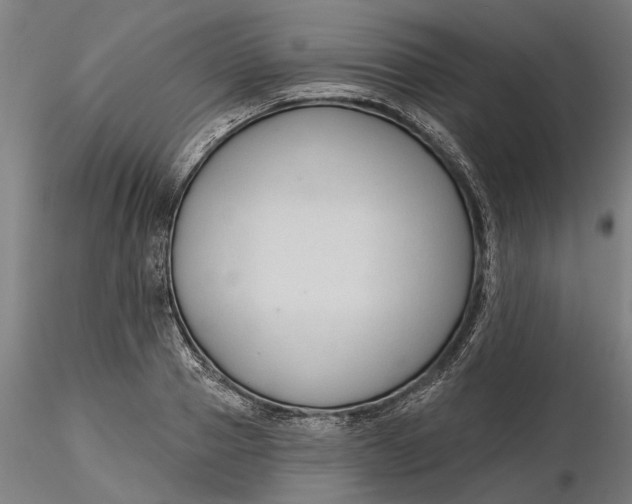 X0000116320937200912221356