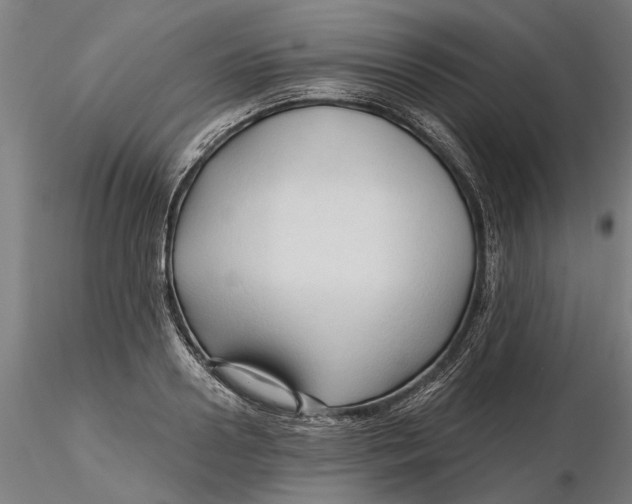 X0000116320938200912221356