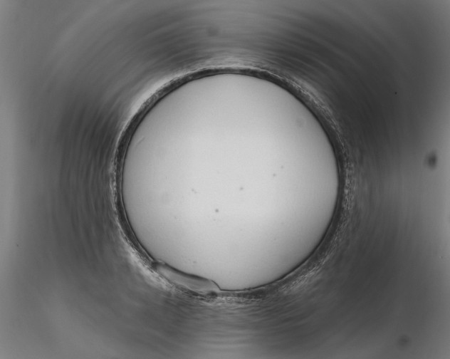 X0000116320942200912221356