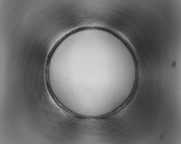 X0000116320943200912221356