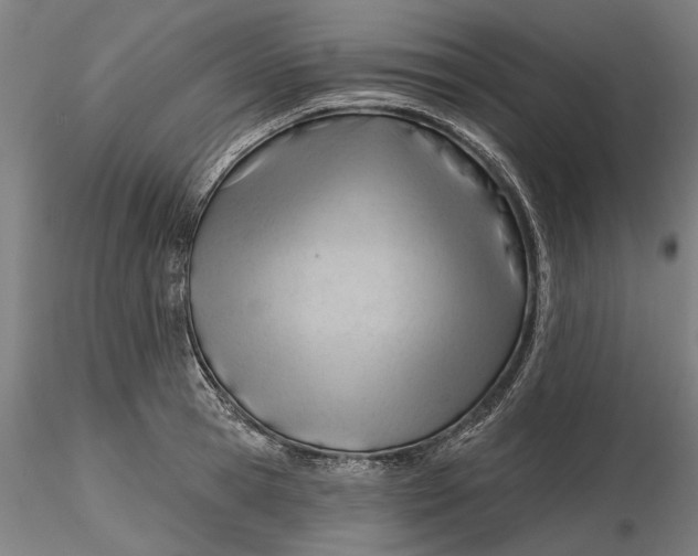 X0000116320945200912221356