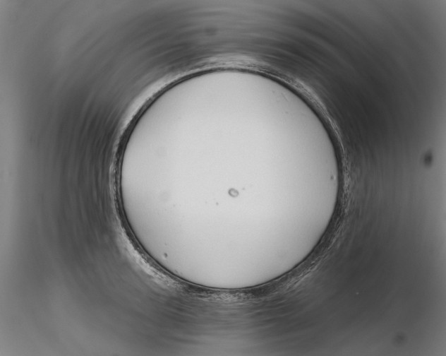 X0000116320947200912221356