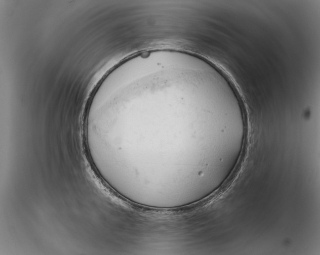 X0000116320949200912221356