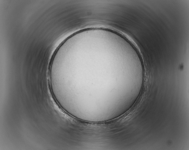 X0000116320951200912221356