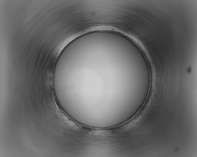 X0000116320953200912221356