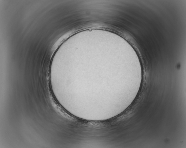 X0000116320954200912221356