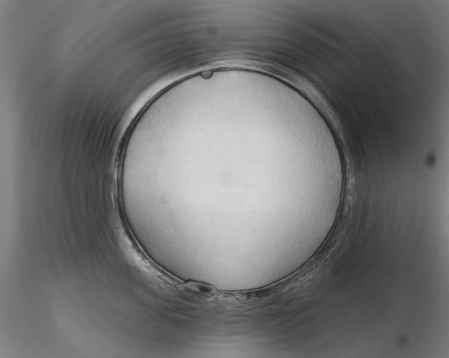 X0000116320955200912221356