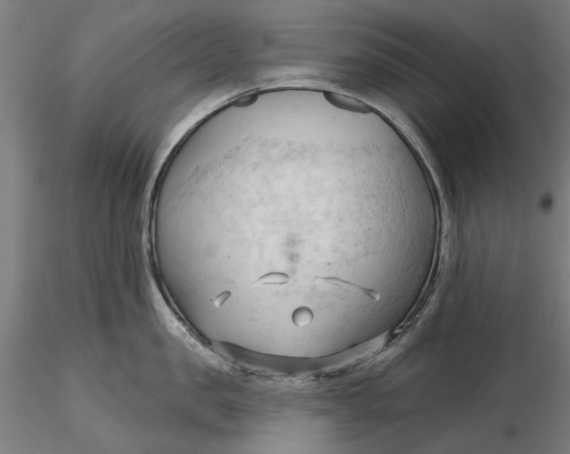 X0000116320957200912221356