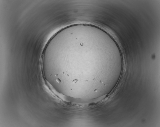 X0000116320958200912221356