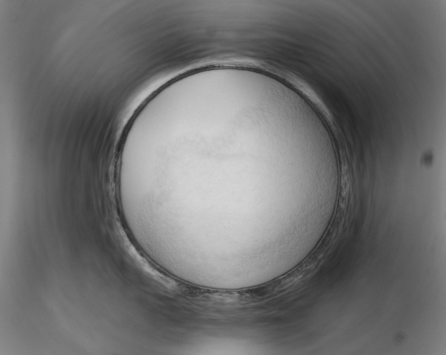 X0000116320959200912221356