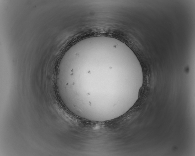 X0000116320961200912221355