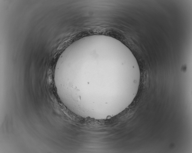 X0000116320962200912221355