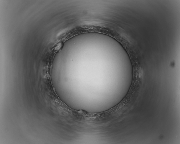 X0000116320965200912221355