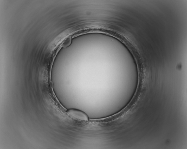 X0000116320969200912221355