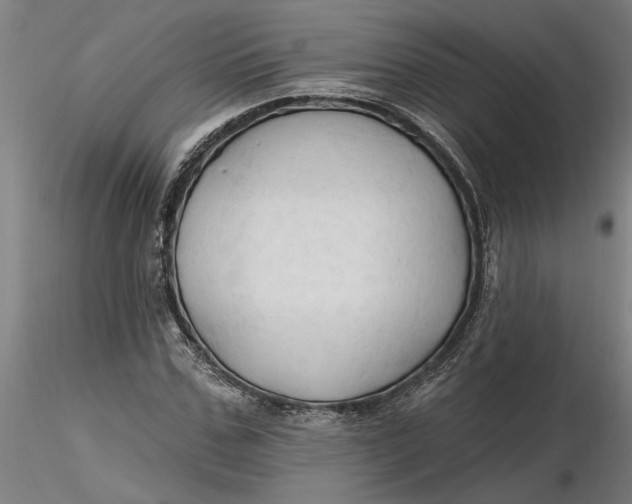 X0000116320971200912221355