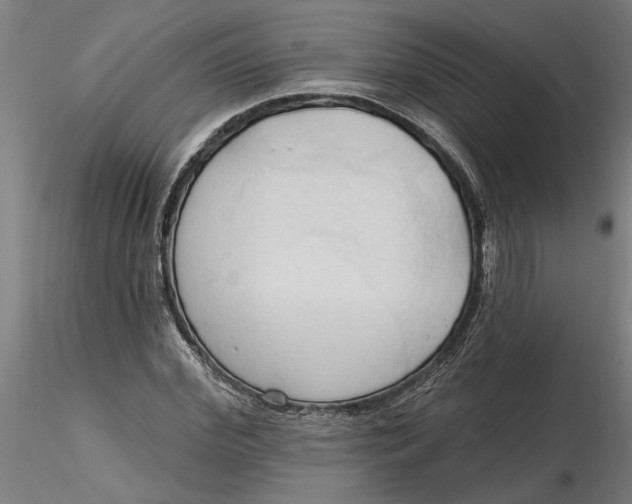 X0000116320972200912221355