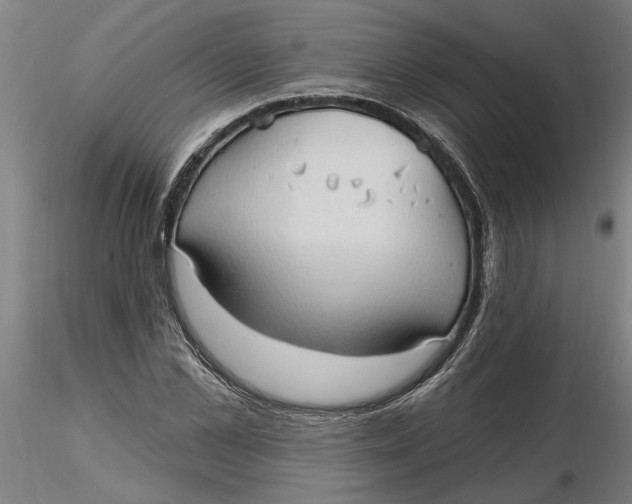 X0000116320973200912221355