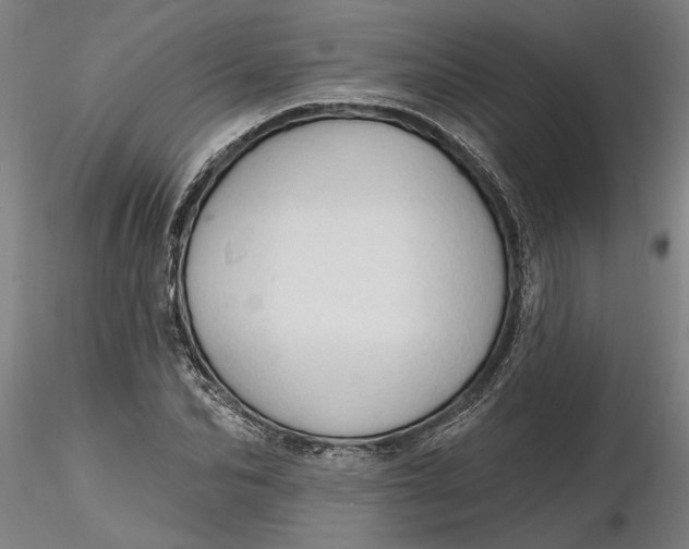 X0000116320974200912221355