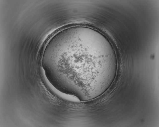 X0000116320975200912221355