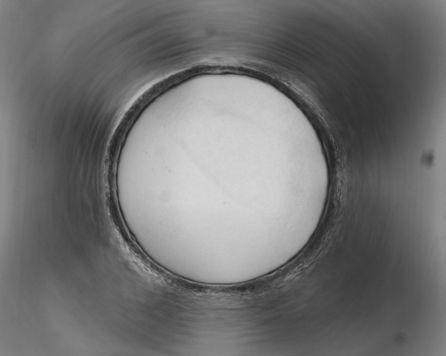 X0000116320976200912221355