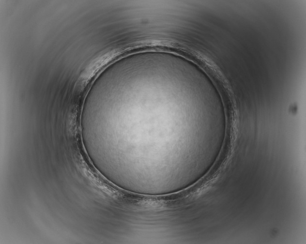 X0000116320977200912221355