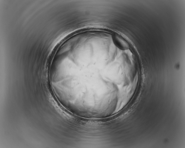 X0000116320981200912221355