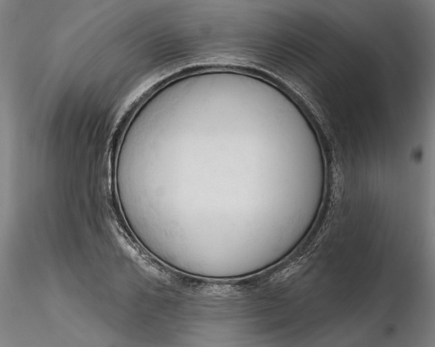 X0000116320982200912221355