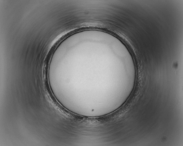 X0000116320983200912221355