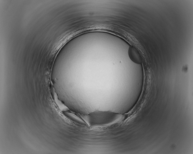 X0000116320985200912221355