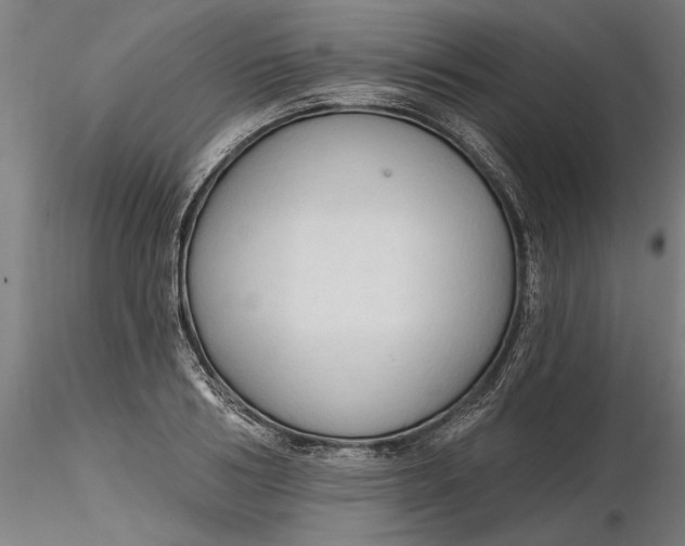 X0000116320986200912221355