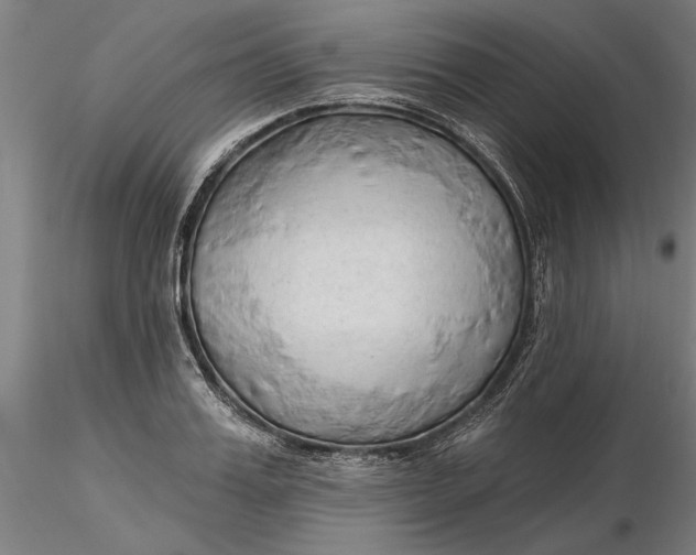 X0000116320987200912221355