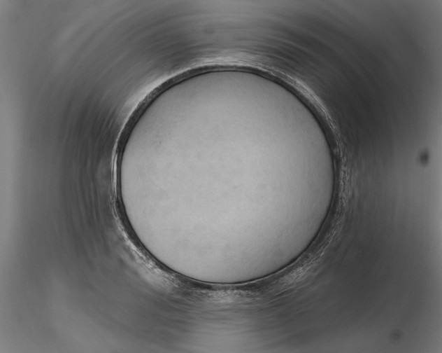 X0000116320988200912221355