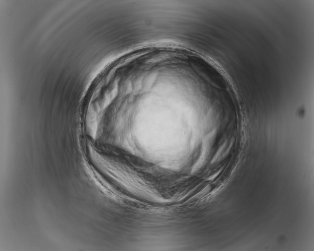 X0000116320989200912221355