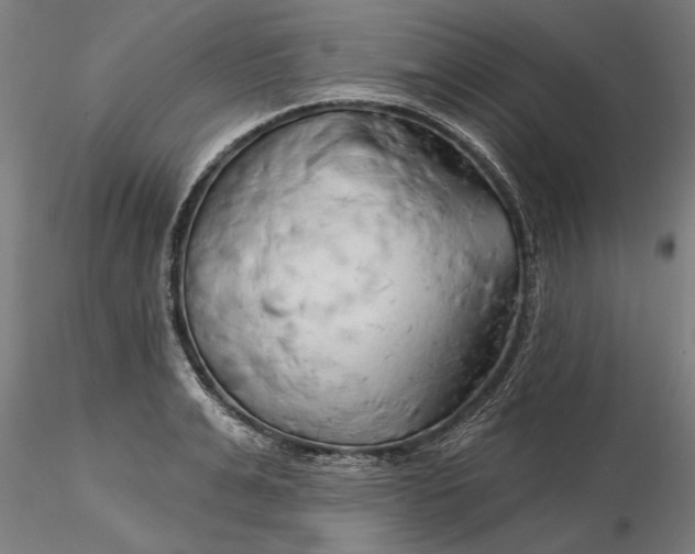 X0000116320991200912221355