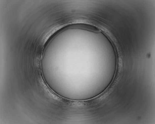 X0000116320993200912221355