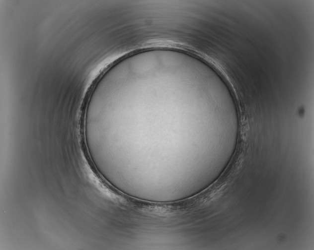 X0000116320995200912221355