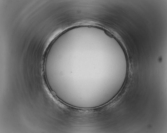 X0000116320997200912221355