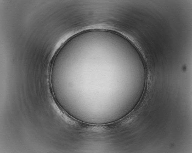 X0000116320998200912221355