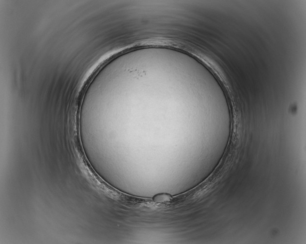 X0000116321000200912221355