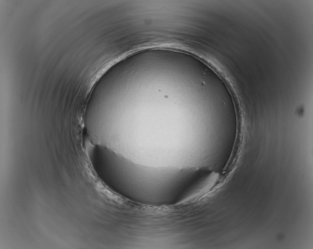 X0000116321001200912221355