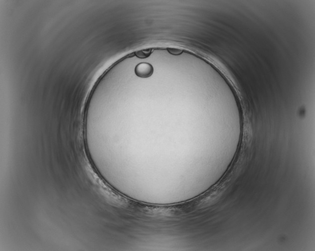 X0000116321004200912221355