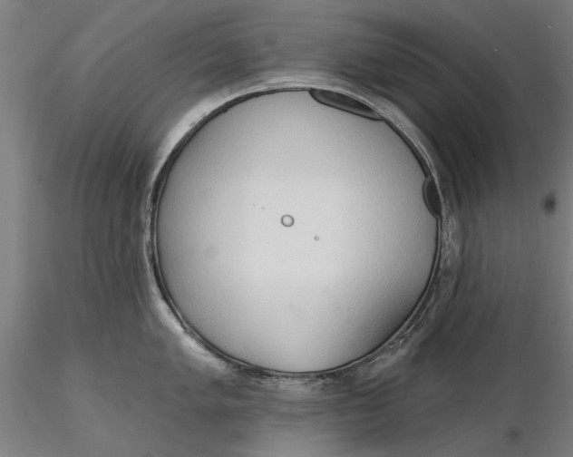 X0000116321005200912221355