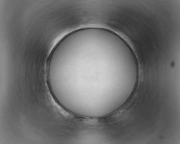 X0000116321006200912221355