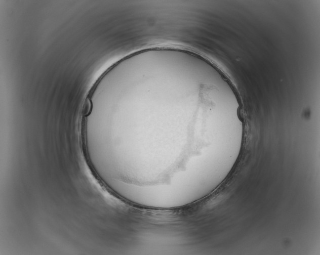 X0000116321007200912221355