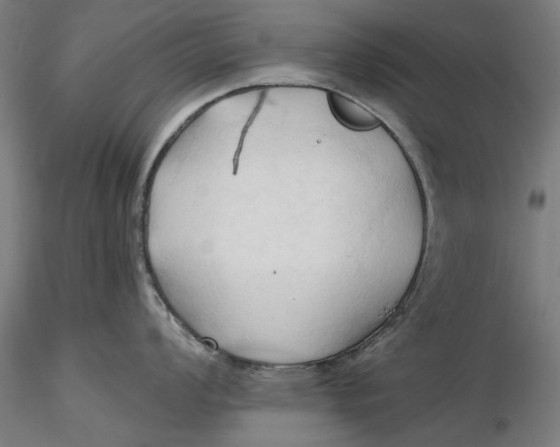 X0000116321008200912221355